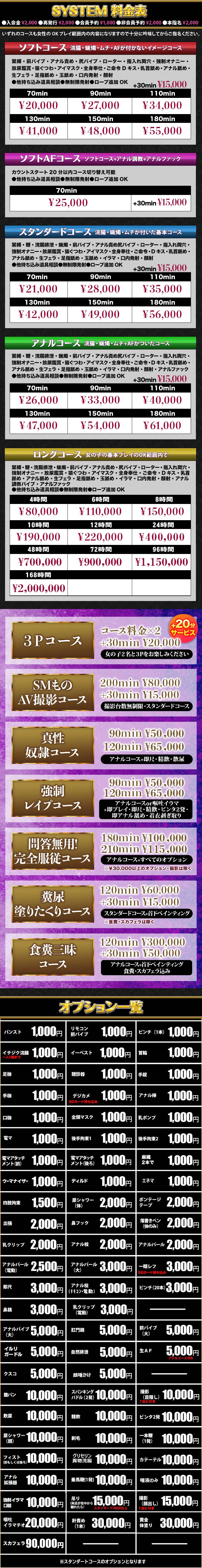 システム