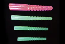 옵션:항문 구슬로 된 막대/SM CLIB FIESTA