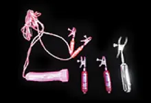 옵션:니플 클램프 바이브/SM CLIB FIESTA