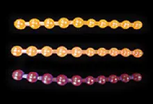 옵션:항문 비즈(대)/SM CLIB FIESTA